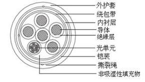 通達(dá)天下，纜動(dòng)未來(lái) 解碼線纜企業(yè)的多元化戰(zhàn)略與創(chuàng)新突破